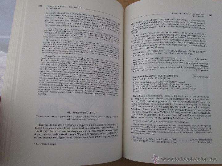 Libros de segunda mano: FLORA IBERICA. 4 TOMOS. E.D. REAL JARDIN BOTANICO. - Foto 72