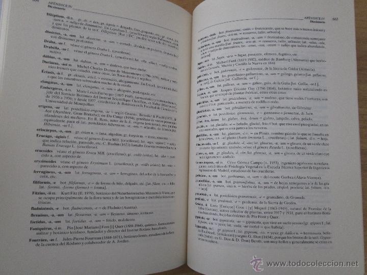 Libros de segunda mano: FLORA IBERICA. 4 TOMOS. E.D. REAL JARDIN BOTANICO. - Foto 74