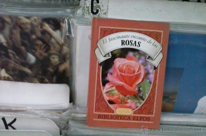 Libri di seconda mano: el fascinante encanto de las rosas,biblioteca elfos