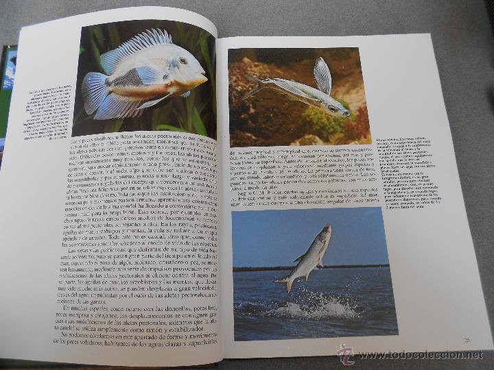 Libros de segunda mano: HISTORIA NATURAL. ANIMALES ACUATICOS - Foto 2