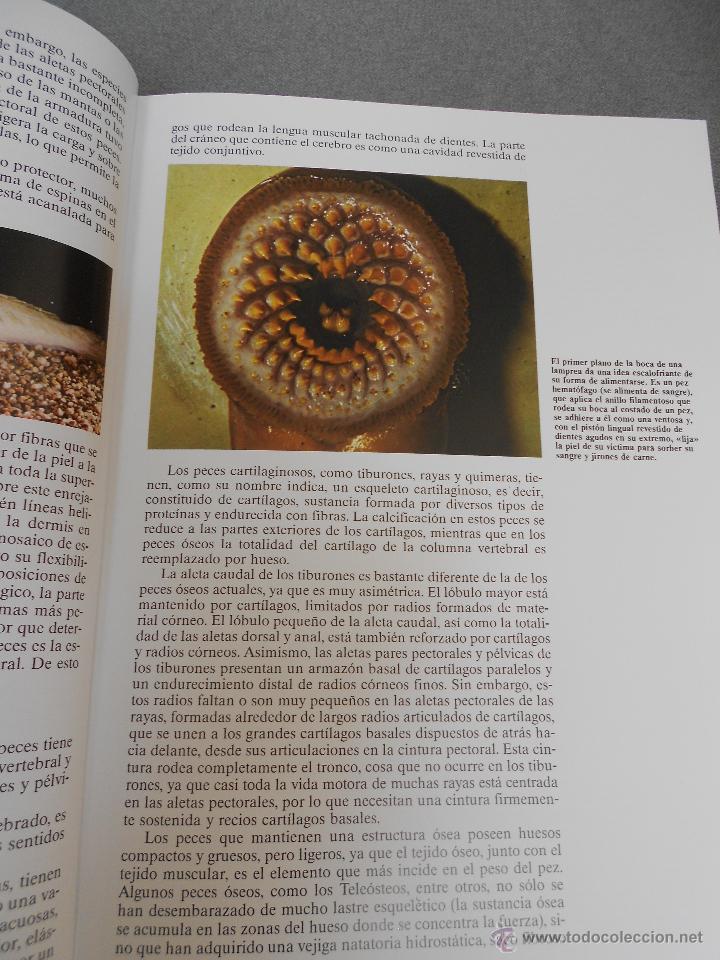 Libros de segunda mano: HISTORIA NATURAL. ANIMALES ACUATICOS - Foto 3