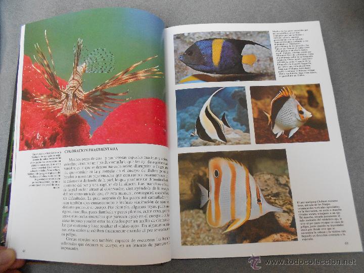 Libros de segunda mano: HISTORIA NATURAL. ANIMALES ACUATICOS - Foto 4