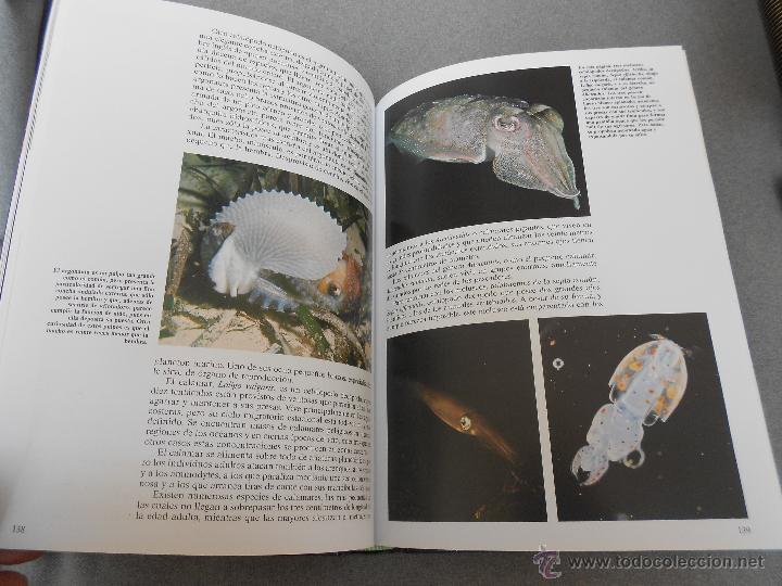 Libros de segunda mano: HISTORIA NATURAL. ANIMALES ACUATICOS - Foto 5