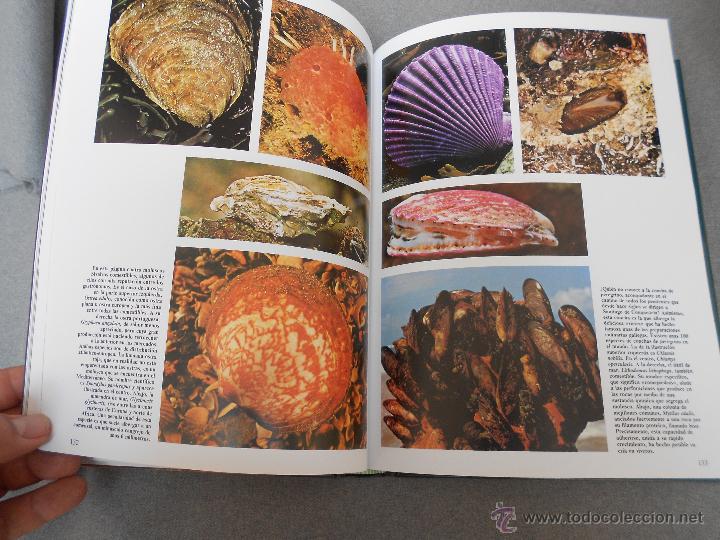 Libros de segunda mano: HISTORIA NATURAL. ANIMALES ACUATICOS - Foto 6