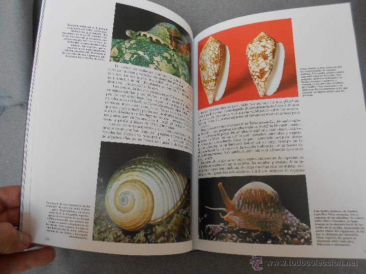 Libros de segunda mano: HISTORIA NATURAL. ANIMALES ACUATICOS - Foto 7