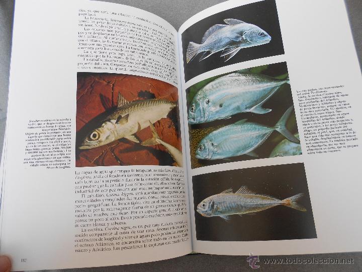 Libros de segunda mano: HISTORIA NATURAL. ANIMALES ACUATICOS - Foto 10