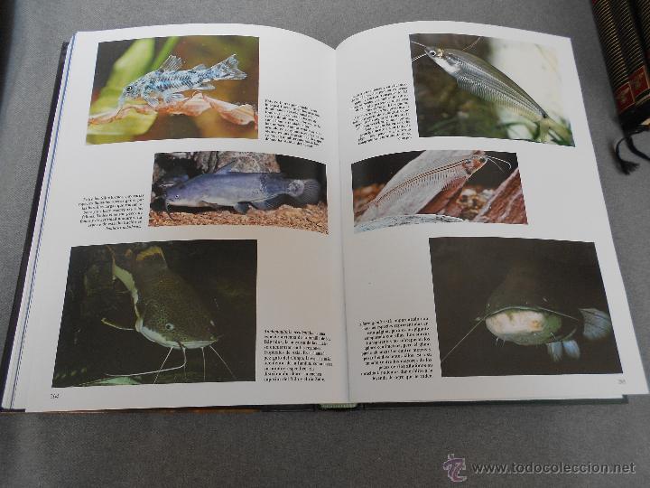 Libros de segunda mano: HISTORIA NATURAL. ANIMALES ACUATICOS - Foto 12