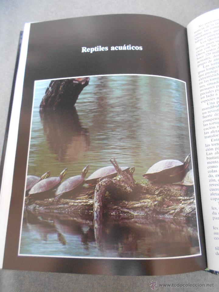 Libros de segunda mano: HISTORIA NATURAL. ANIMALES ACUATICOS - Foto 13