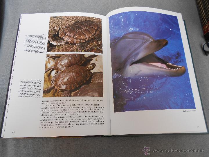 Libros de segunda mano: HISTORIA NATURAL. ANIMALES ACUATICOS - Foto 14