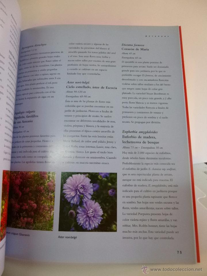 Libros de segunda mano: MACETAS Y JARDINERAS, PARRAGON BOOKS 2007 OFRT - Foto 3