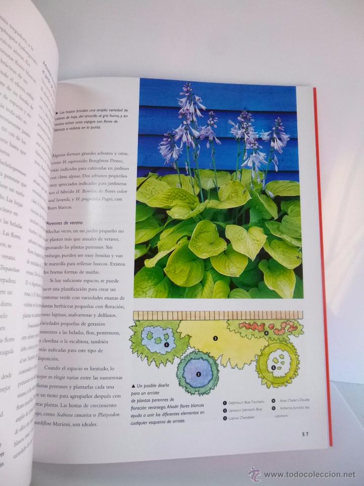 Libros de segunda mano: MACETAS Y JARDINERAS, PARRAGON BOOKS 2007 OFRT - Foto 5