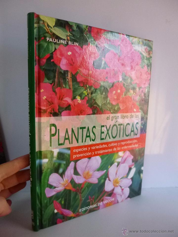 Libros de segunda mano: EL GRAN LIBRO DE LAS PLANTAS EX&Oacute;TICAS ( PAULINE BLIN) ED DE VECCHI, 2005 - Foto 1