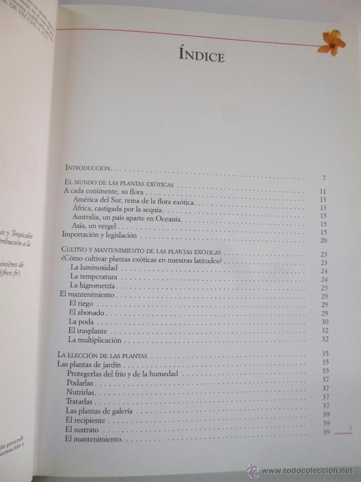 Libros de segunda mano: EL GRAN LIBRO DE LAS PLANTAS EX&Oacute;TICAS ( PAULINE BLIN) ED DE VECCHI, 2005 - Foto 3