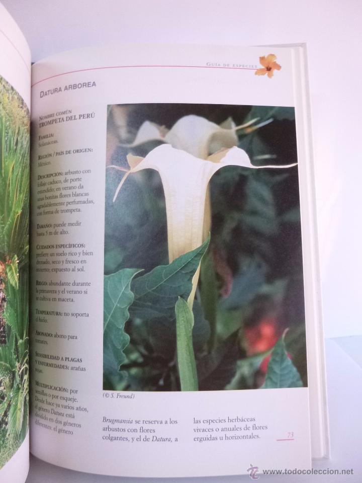 Libros de segunda mano: EL GRAN LIBRO DE LAS PLANTAS EX&Oacute;TICAS ( PAULINE BLIN) ED DE VECCHI, 2005 - Foto 5