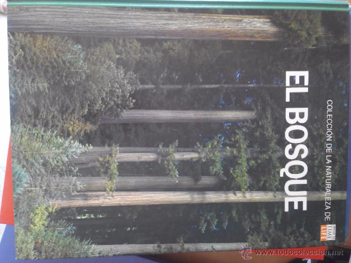 Libros de segunda mano: EL BOSQUE - Foto 1