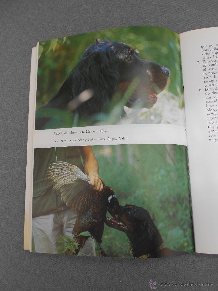 Libros de segunda mano: LOS SETTER - Foto 2