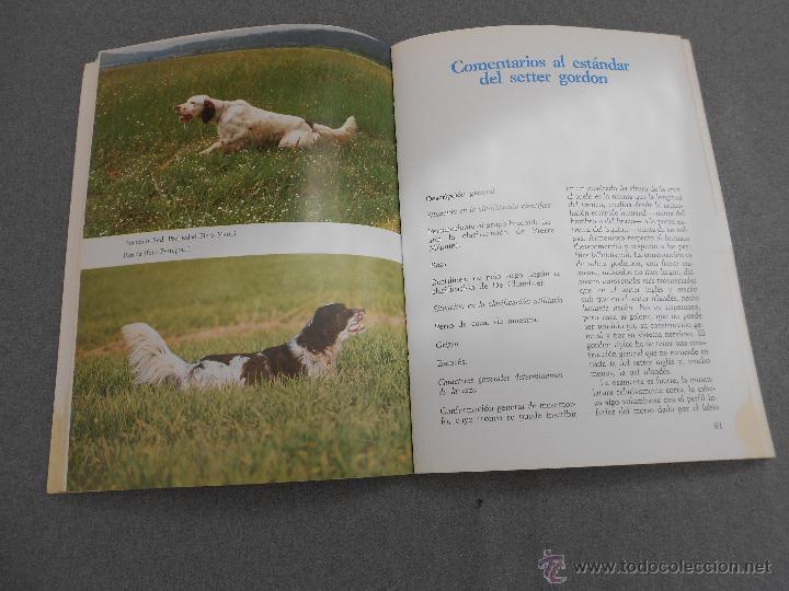 Libros de segunda mano: LOS SETTER - Foto 3