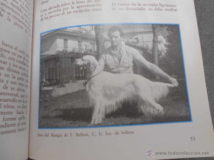 Libros de segunda mano: LOS SETTER - Foto 5