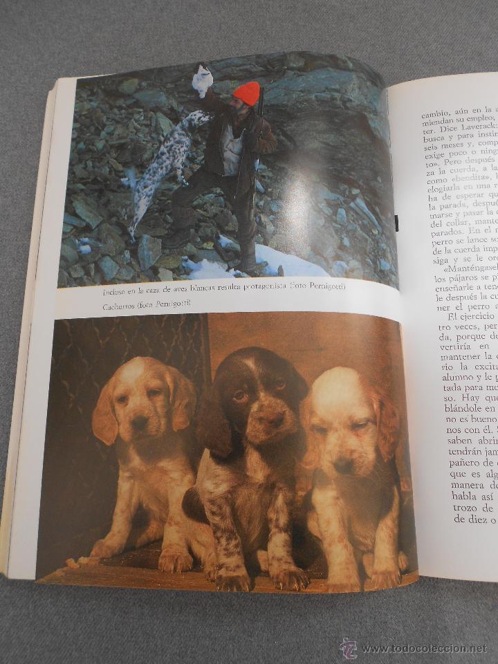 Libros de segunda mano: LOS SETTER - Foto 7
