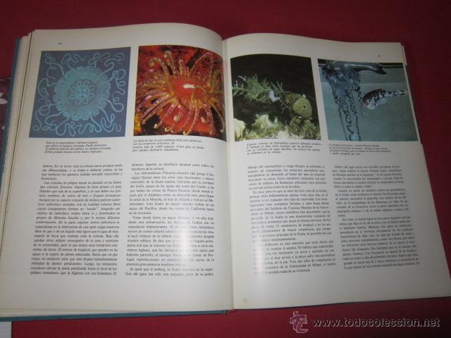 Libros de segunda mano: El gran libro de los Oc&eacute;anos. 1971. - Foto 4