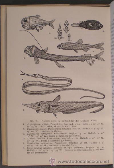 Libros de segunda mano: COLMAN, JOHN S: EL MAR. INTRODUCCI&Oacute;N AL ESTUDIO DE LA OCEANOGRAF&Iacute;A - Foto 1