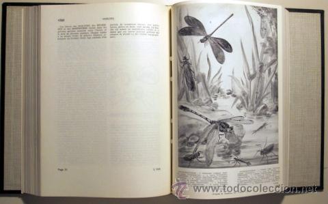 Libros de segunda mano: ETRES VIVANTS. VEGETAUX ET ANIMAUX - Foto 3