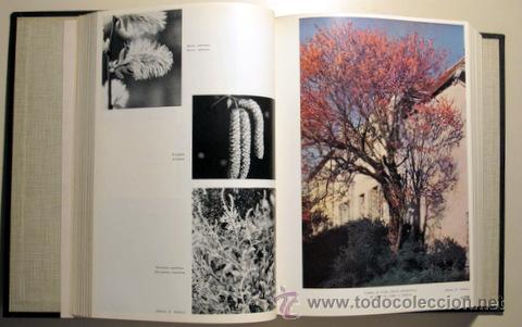 Libros de segunda mano: ETRES VIVANTS. VEGETAUX ET ANIMAUX - Foto 4