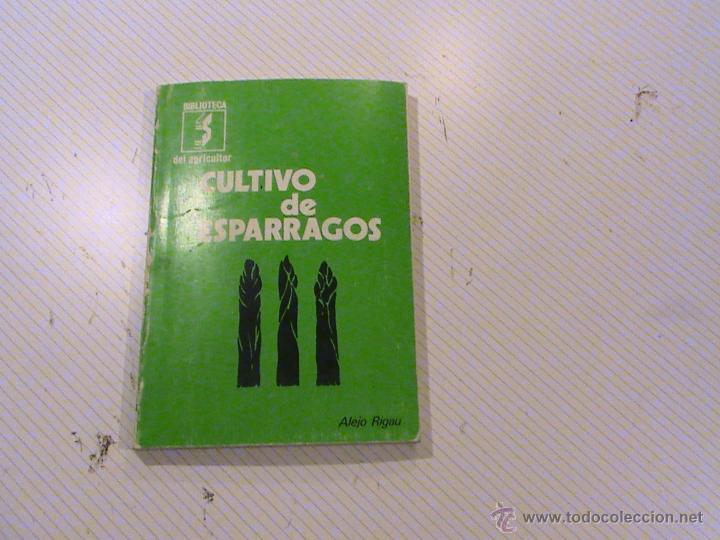 Libros de segunda mano: Cultivo de esp&aacute;rragos. (a: Alejo Rigau) - Foto 1