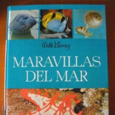 Libros de segunda mano: LAS MARAVILLAS DEL MAR - WALT DISNEY - EDICIONES GAISA