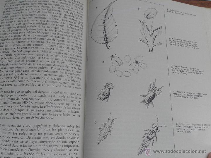 Libros de segunda mano: MANUAL PR&Aacute;CTICO DE HIDROCULTIVO / MARGOT SCHUBERT / EDICIONES OMEGA 1981 - Foto 2