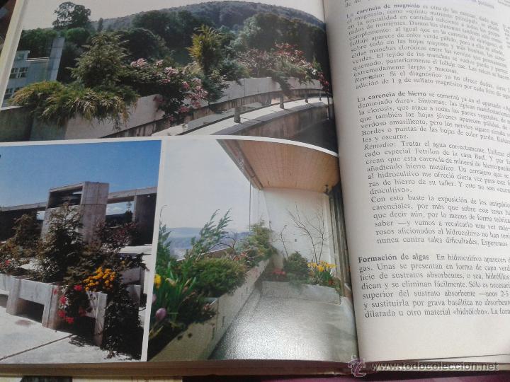 Libros de segunda mano: MANUAL PR&Aacute;CTICO DE HIDROCULTIVO / MARGOT SCHUBERT / EDICIONES OMEGA 1981 - Foto 3