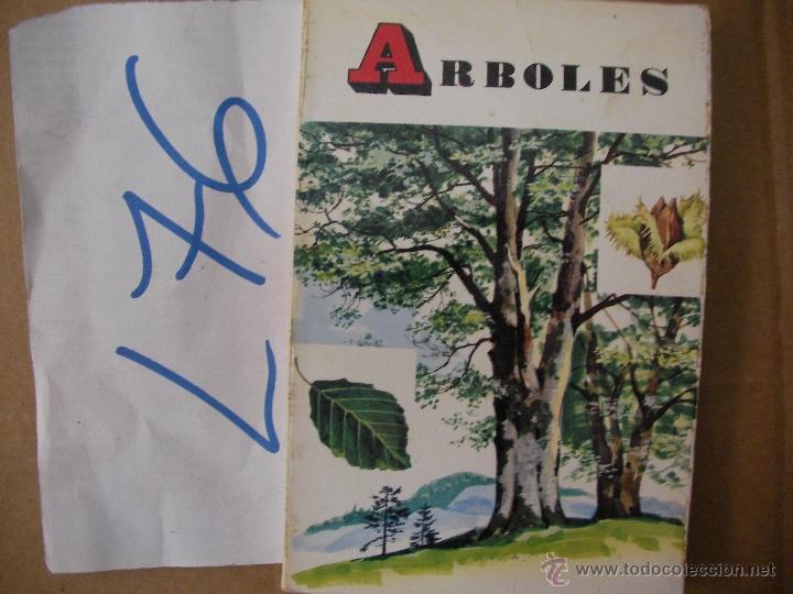 Libros de segunda mano: ANTIGUO LIBRO - ARBOLES - Foto 1