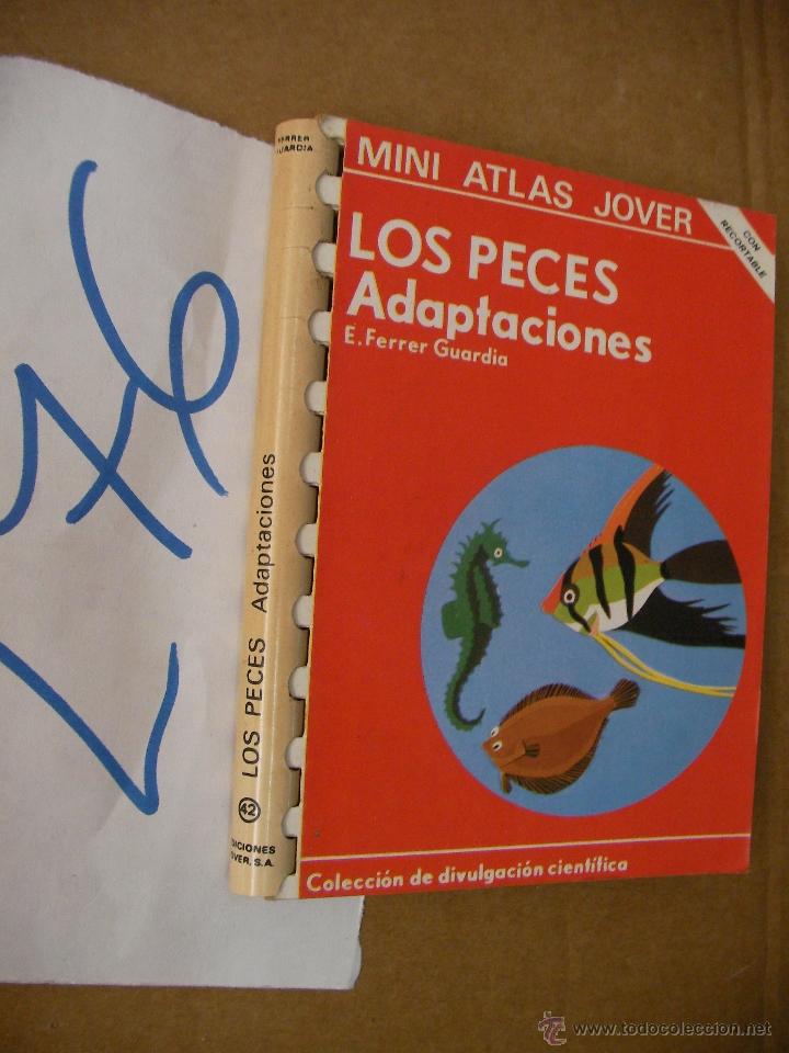 Libros de segunda mano: MINI ATLAS JOVER - LOS PECES - FERRER GUARDIA - Foto 1