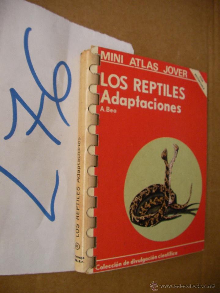 Libros de segunda mano: MINI ATLAS JOVER - LOS INSECTOS - GONZALEZ Y GOULA - Foto 1