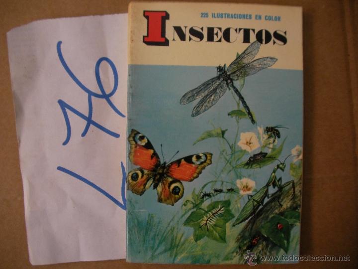 Libros de segunda mano: ANTIGUO LIBRO - INSECTOS - ENVIO GRATIS A ESPA&Ntilde;A - Foto 1
