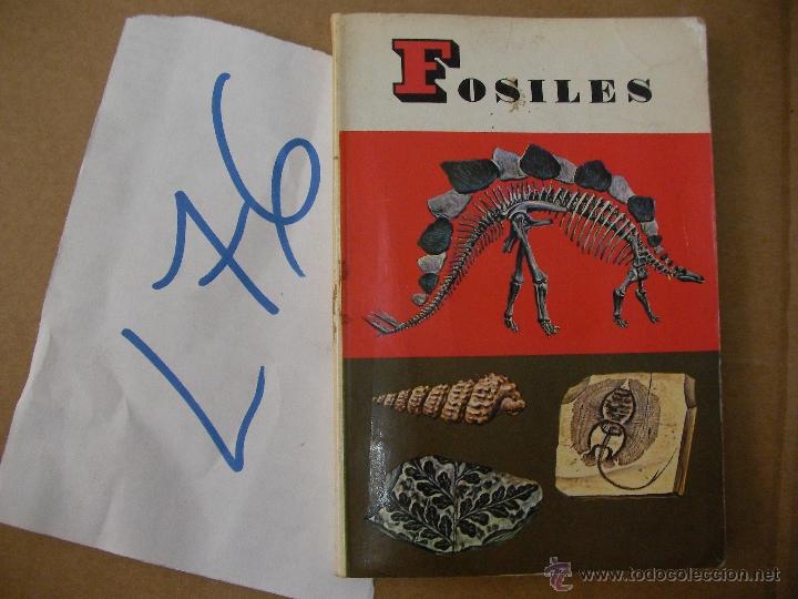 Libros de segunda mano: ANTIGUO LIBRO - FOSILES - ENVIO GRATIS A ESPA&Ntilde;A - Foto 1