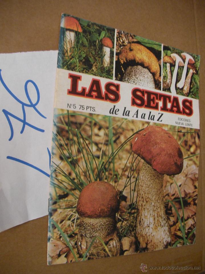 Libros de segunda mano: ANTIGUO FASCICULO - LAS SETAS - ENVIO GRATIS A ESPA&Ntilde;A - Foto 1