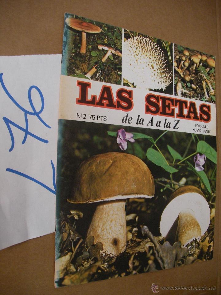 Libros de segunda mano: ANTIGUO FASCICULO - LAS SETAS - ENVIO GRATIS A ESPA&Ntilde;A - Foto 1