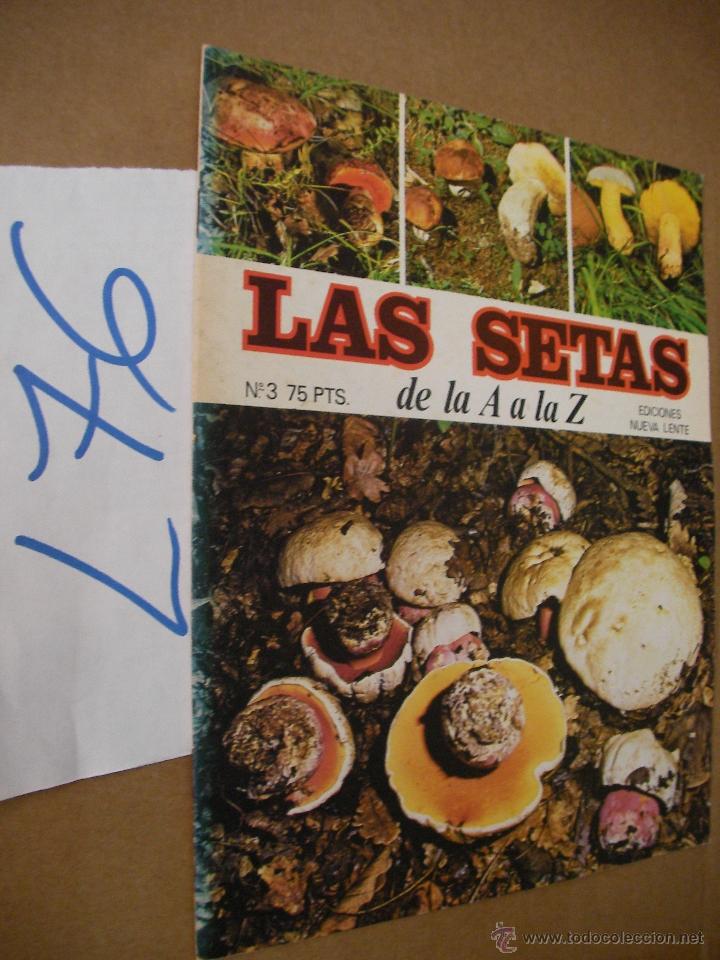 Libros de segunda mano: ANTIGUO FASCICULO - LAS SETAS - ENVIO GRATIS A ESPA&Ntilde;A - Foto 1