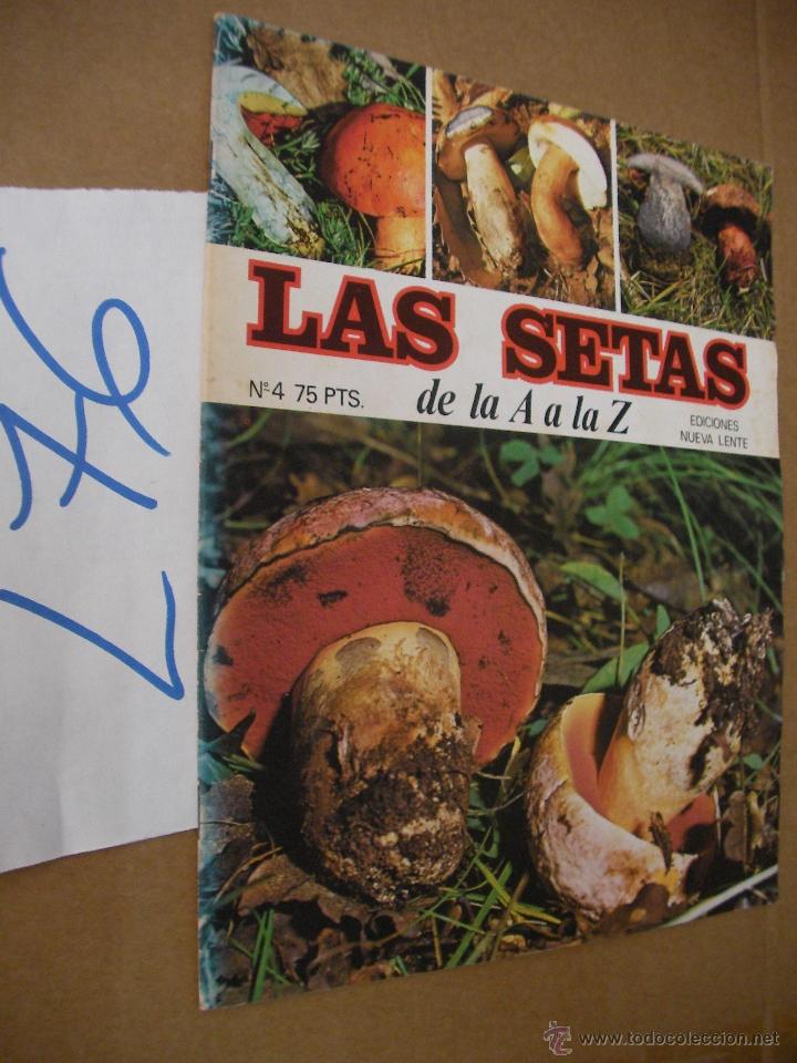 Libros de segunda mano: ANTIGUO FASCICULO - LAS SETAS - ENVIO GRATIS A ESPA&Ntilde;A - Foto 1