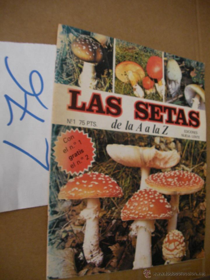 Libros de segunda mano: ANTIGUO FASCICULO - LAS SETAS - ENVIO GRATIS A ESPA&Ntilde;A - Foto 1