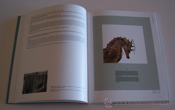 Libros de segunda mano: VV.AA. Neuston. Experimento 1. Explorando a interface. RM70418. - Foto 2