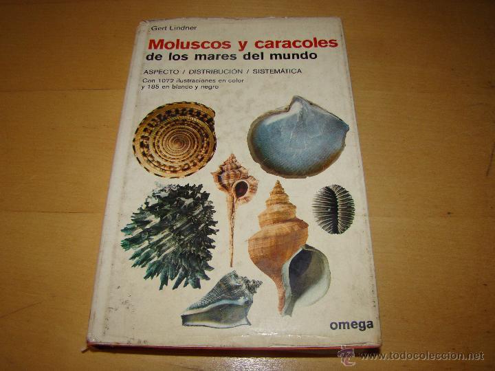 Libros de segunda mano: MOLUSCOS Y CARACOLES DE LOS MARES DEL MUNDO . OMEGA - Foto 1