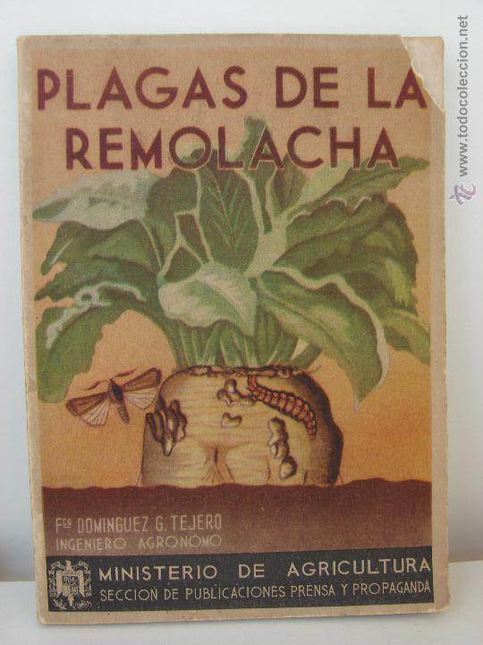 Libros de segunda mano: PLAGAS DE LA REMOLACHA. GARCIA-TEJERO.1943 - Foto 1