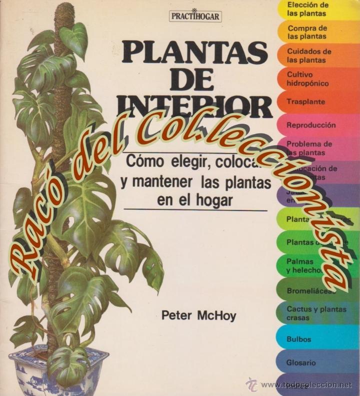 Libros de segunda mano: PLANTAS DE INTERIOR, PETER MCHOY, EDITORIAL EDAF, COLECCION PRACTIHOGAR N. 4, 1983 - Foto 1