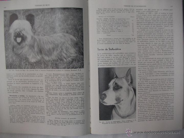 Libros de segunda mano: ENCICLOPEDIA MODERNA DEL PERRO - HENRY DAVIS - Foto 2