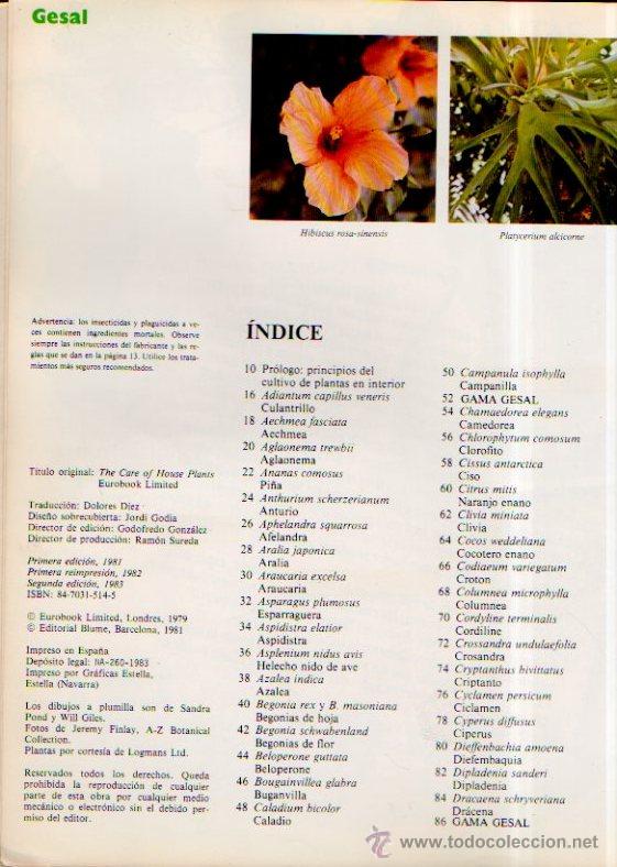 Libros de segunda mano: EL GRAN LIBRO GESAL PARA EL CUIDADO DE LAS PLANTAS DE INTERIOR - EDITORIAL BLUME, 1983 - Foto 3