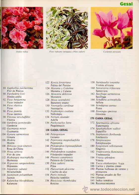 Libros de segunda mano: EL GRAN LIBRO GESAL PARA EL CUIDADO DE LAS PLANTAS DE INTERIOR - EDITORIAL BLUME, 1983 - Foto 4