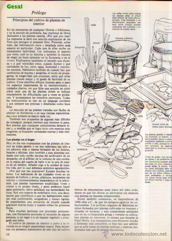 Libros de segunda mano: EL GRAN LIBRO GESAL PARA EL CUIDADO DE LAS PLANTAS DE INTERIOR - EDITORIAL BLUME, 1983 - Foto 5