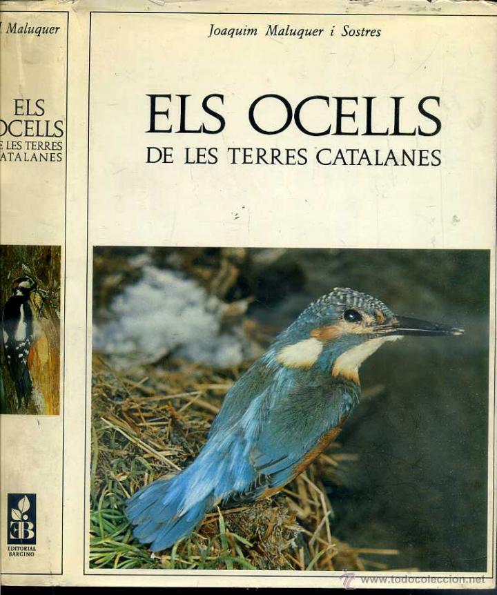 Libros de segunda mano: MALUQUER : ELS OCELLS DE LES TERRES CATALANES (BARCINO, 1973) - Foto 1